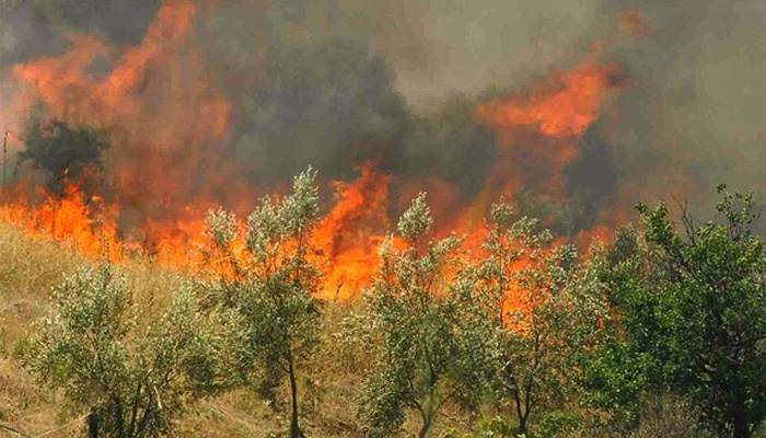 Μεγάλη πυρκαγιά σε περιοχή του Δήμου Βιάννου