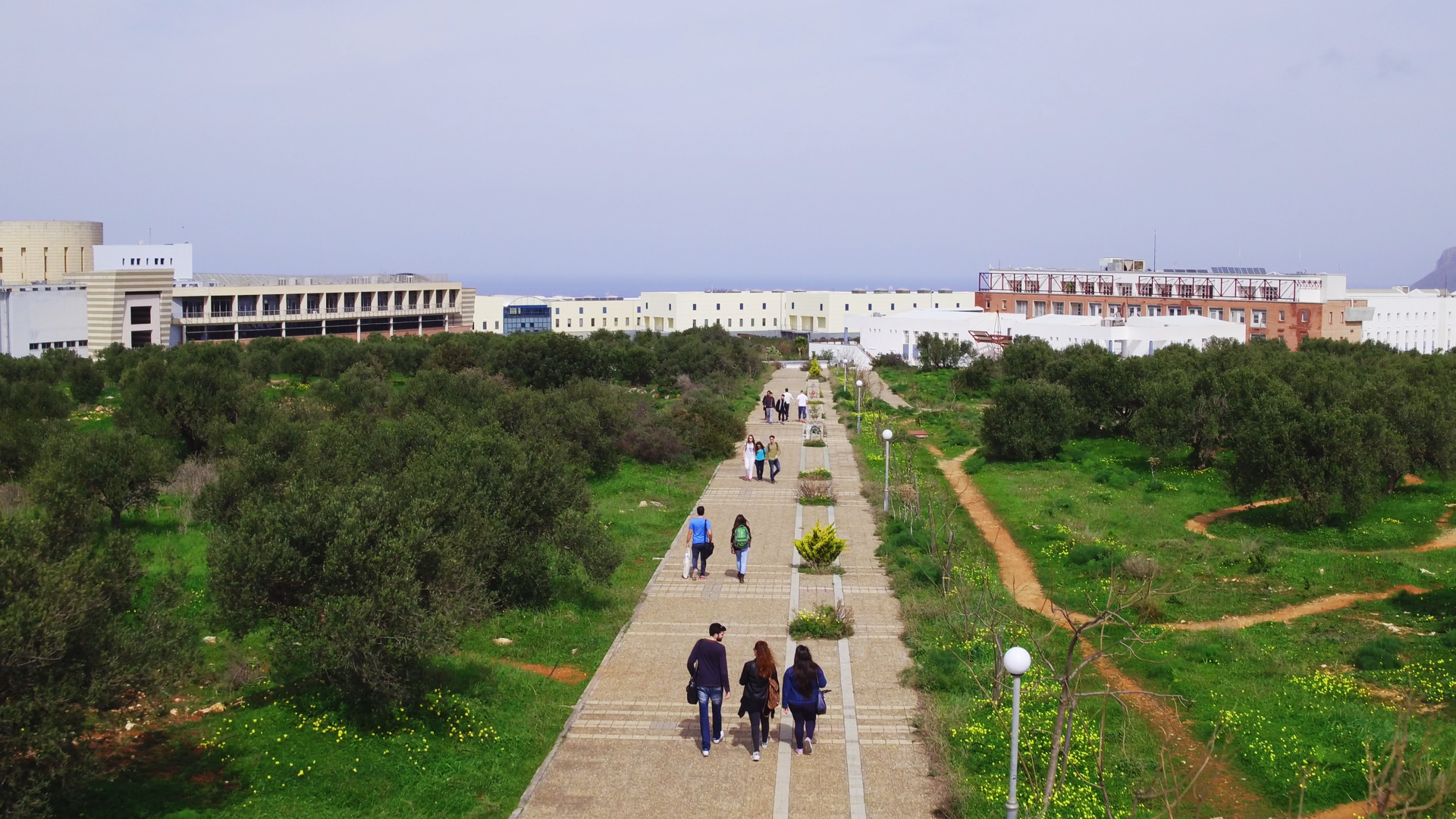 Οι απόφοιτοι του Πολυτεχνείου Κρήτης που διαπρέπουν σε Ελλάδα και εξωτερικό