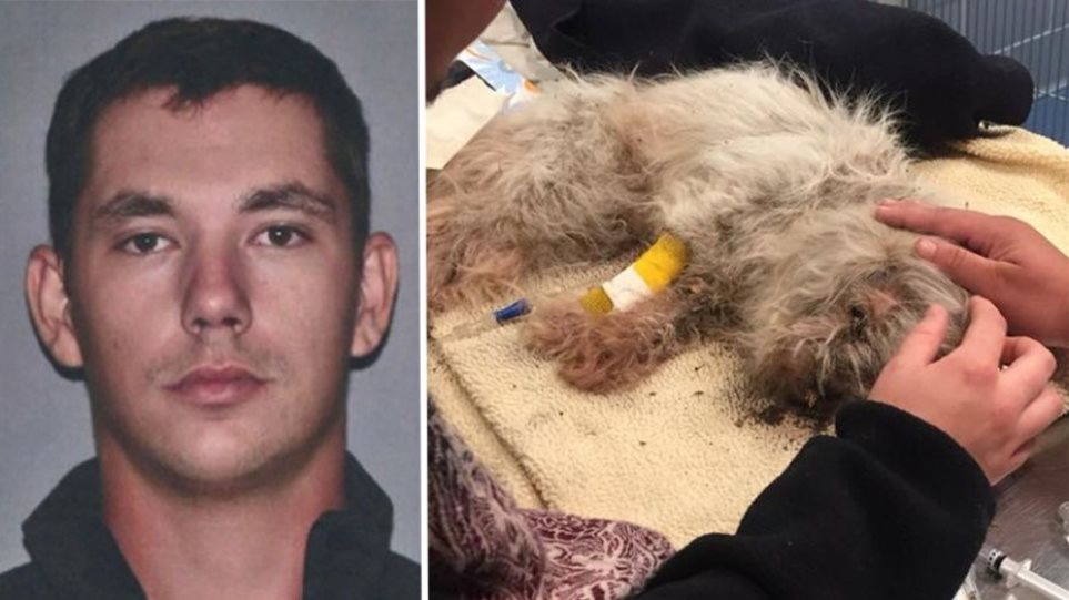 Αμερικανός έθαψε ζωντανό το σκύλο του γιατί τσακωνόταν με την γάτα