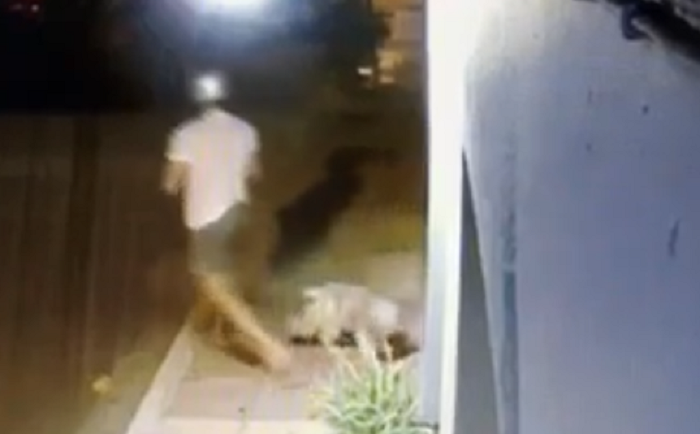 Εγκατέλειψε το σκύλο έξω από κτηνιατρείο και έφυγε σαν κύριος (βιντεο)