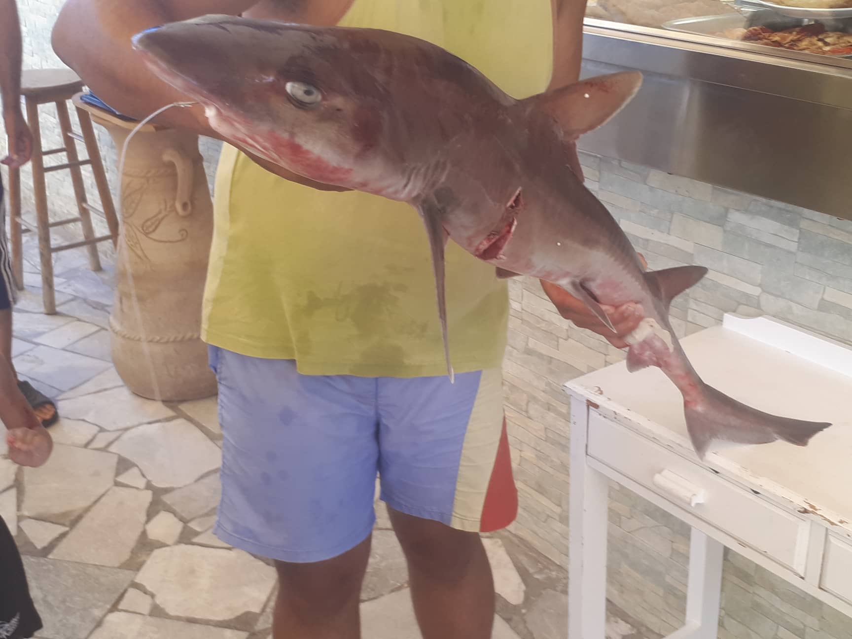 Ψαράς “έπιασε” καρχαρία κοντά στην Γαύδο (φωτο)