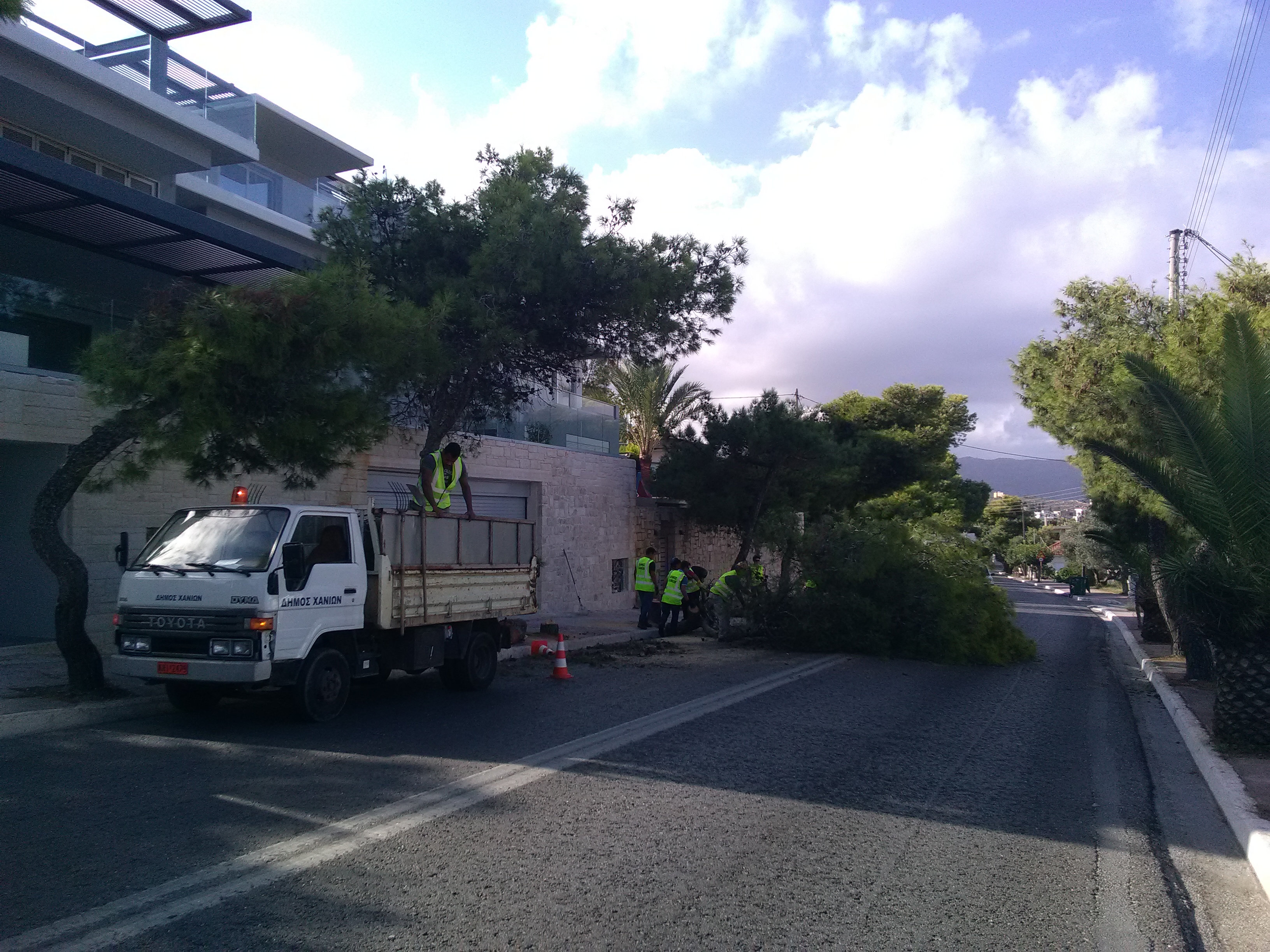 Κλαδεύουν δέντρα στην Ακρωτηρίου – Γίνεται τμηματικό κλείσιμο του δρόμου