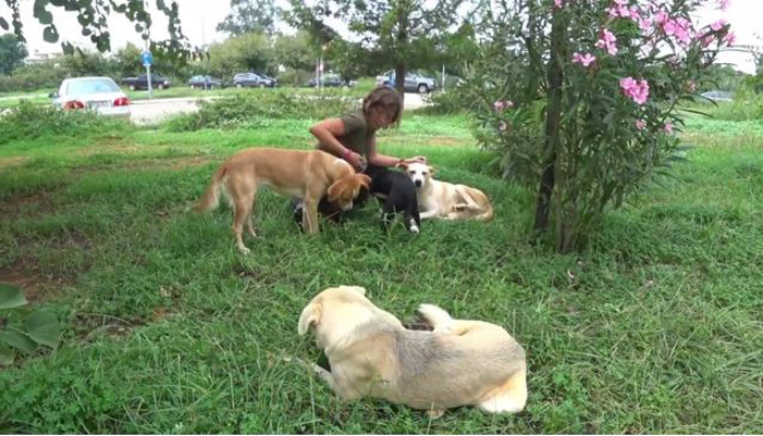 Τα σκυλάκια του νοσοκομείου Χανίων ψάχνουν σπίτι – Βοηθήστε να βρουν ένα