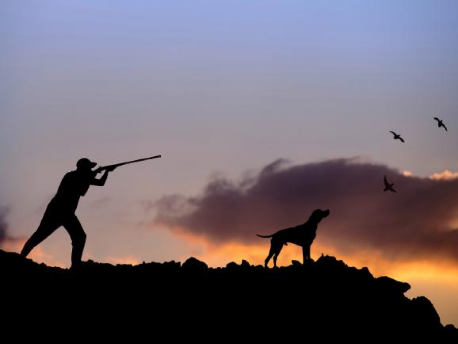 Ξεκινά η κυνηγετική περίοδος – Όλα όσα πρέπει να ξέρουν οι κυνηγοί στα Χανιά