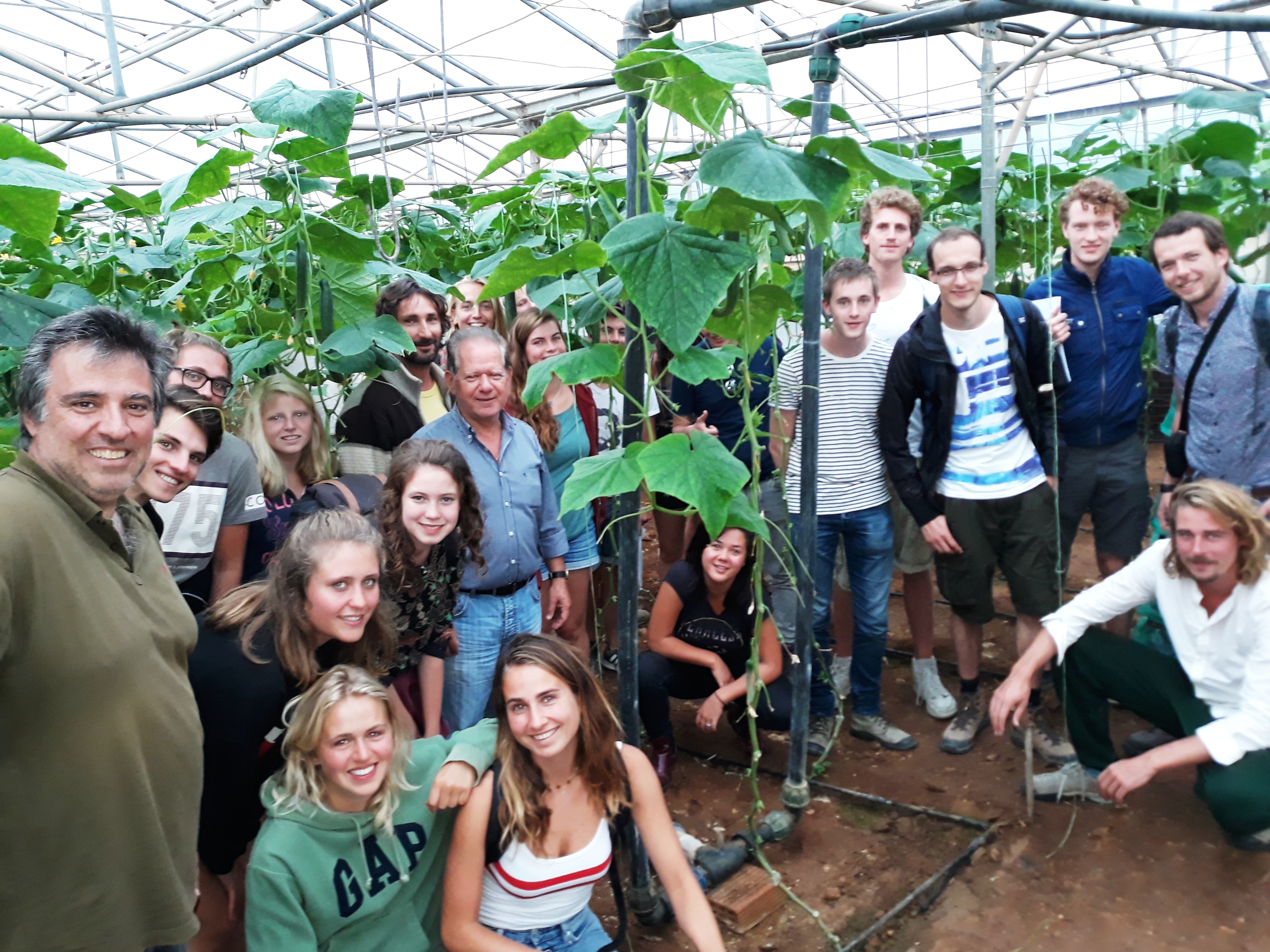 Ολλανδοί φοιτητές επισκέφθηκαν την Κίσαμο για 5η χρονιά!