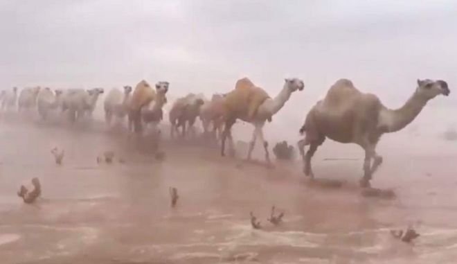 Εικόνες αποκάλυψης: Πλημμύρισε η έρημος στη Σαουδική Αραβία