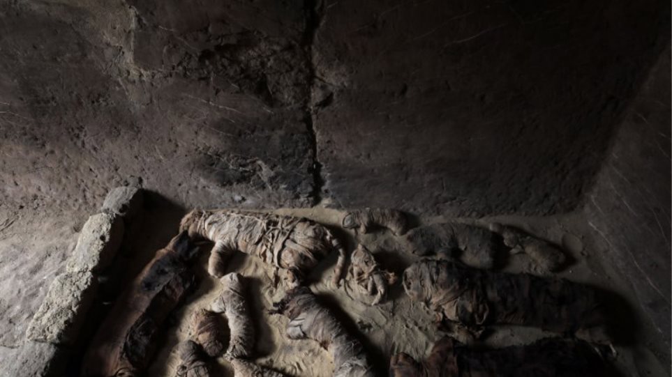 Αίγυπτος: Δεκάδες γάτες – μούμιες βρέθηκαν σε αρχαίους τάφους