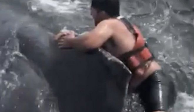 Γενναίος ψαράς πήδηξε πάνω σε φάλαινα για να την ελευθερώσει από δίχτυ