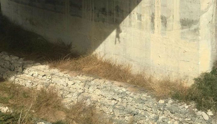 Απίστευτη κτηνωδία: Κρέμασαν σκύλο σε γέφυρα (φωτο)