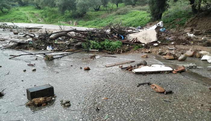 Έπεσαν δέντρα από την κακοκαιρία στα Χανιά – Πλημμύρες σε δρόμους (εικόνες)
