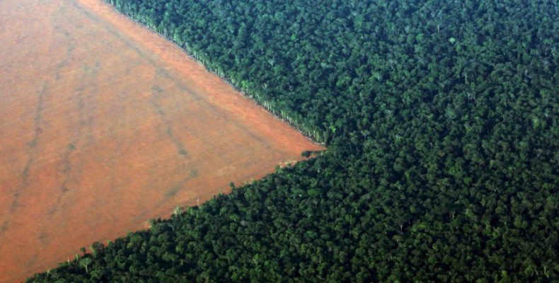 Αμαζόνιος: Σε ένα χρόνο εξαφανίστηκε δάσος 5 φορές όσο το Λονδίνο