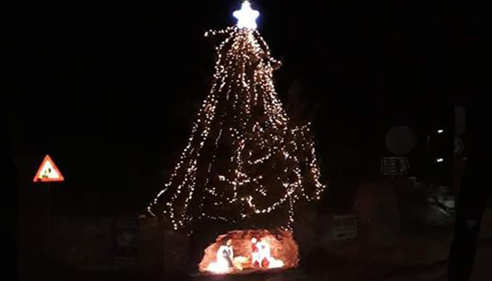 Φωταγώγησαν πανύψηλο χριστουγεννιάτικο δέντρο στις Στέρνες!