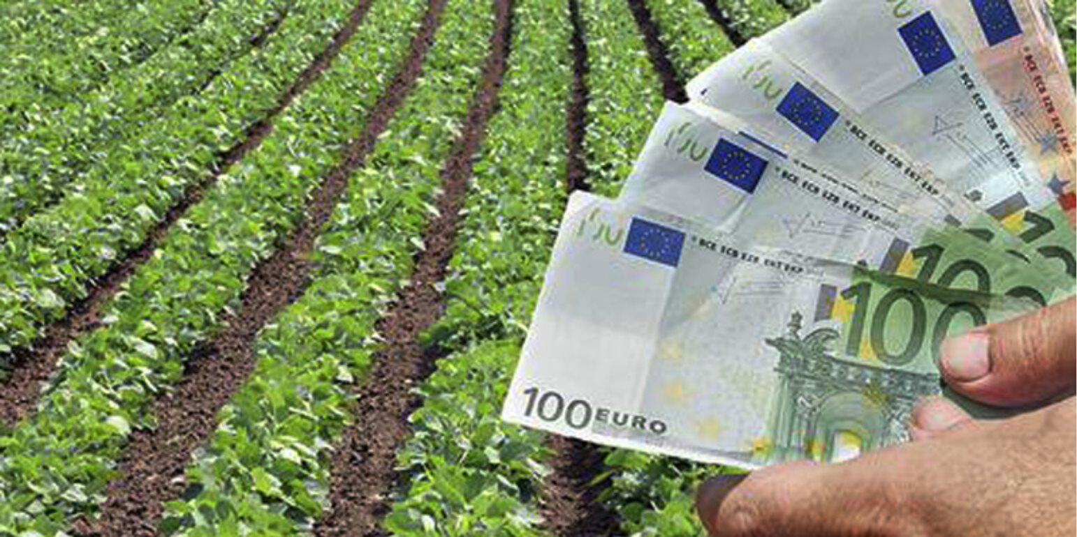 Αγροτική επιδότηση μέχρι και 14.000 ευρώ – Ποιοι είναι οι δικαιούχοι