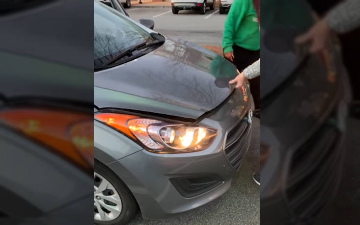 Το καπό του αυτοκινήτου έκρυβε μια έκπληξη (βίντεο)