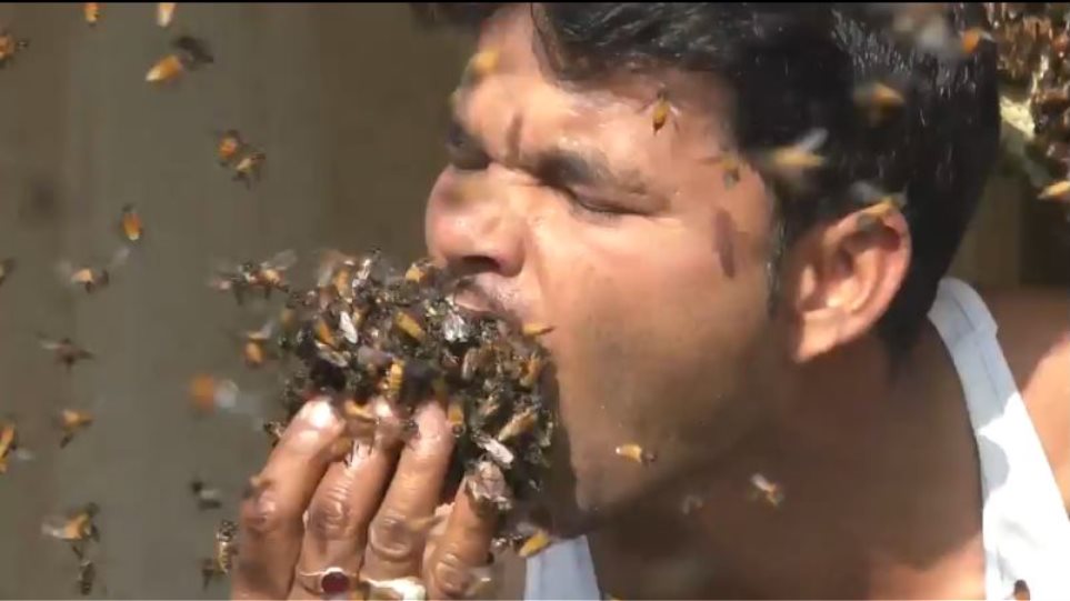Απίστευτο: Ινδός βάζει μέλισσες με… τις χούφτες στο στόμα του!