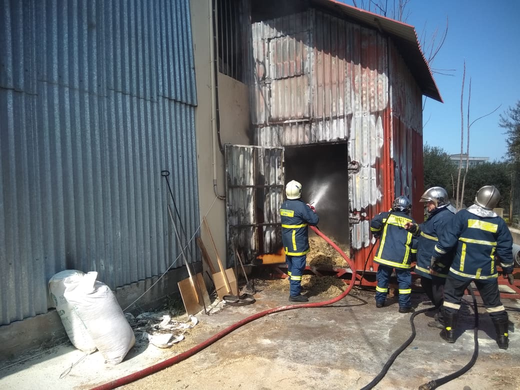 Φωτιά σε αποθήκη γνωστής επιχείρησης ξυλείας στα Χανιά (φωτο+βιντεο)