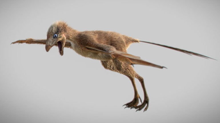 Ανακαλύφθηκε στην Κίνα ένας ασυνήθιστος μικροσκοπικός δεινόσαυρος με φτερά νυχτερίδας