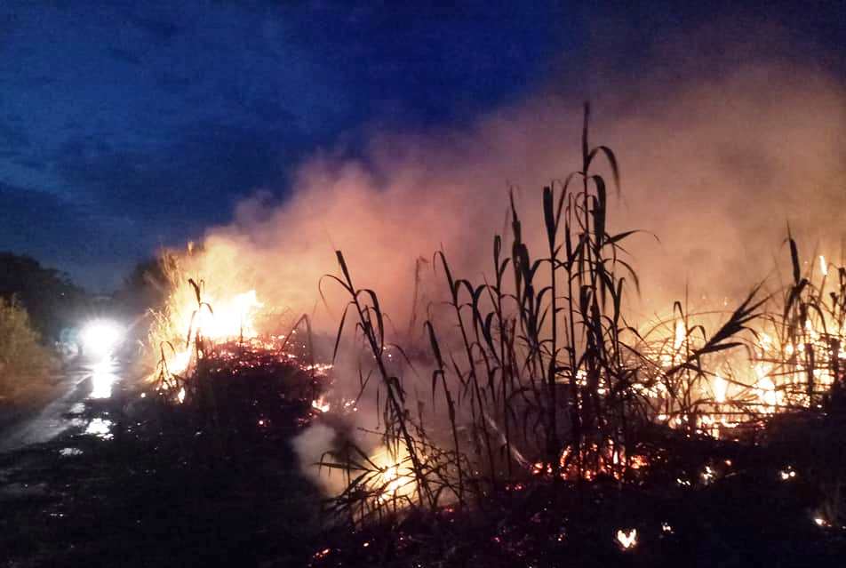 Πυρκαγιά σε καλάμια στο Μάλεμε (φωτο)