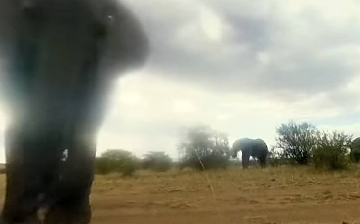 Eλέφαντας πήρε χαμπάρι μια κρυφή κάμερα και εκνευρίστηκε πολύ