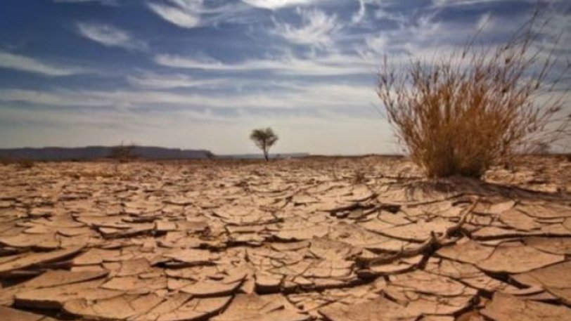 Υψηλός κίνδυνος ερημοποίησης σε περιοχές της Κρήτης