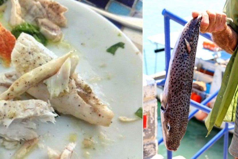 Στην Κρήτη μαγειρεύουν και τρώνε το ψάρι που μπορεί να σε σκοτώσει και είναι πεντανόστιμο