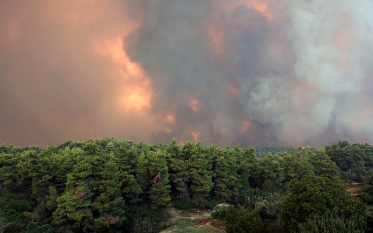 Ημερίδα για τις δασικές πυρκαγιές πραγματοποιείται στο Ρέθυμνο