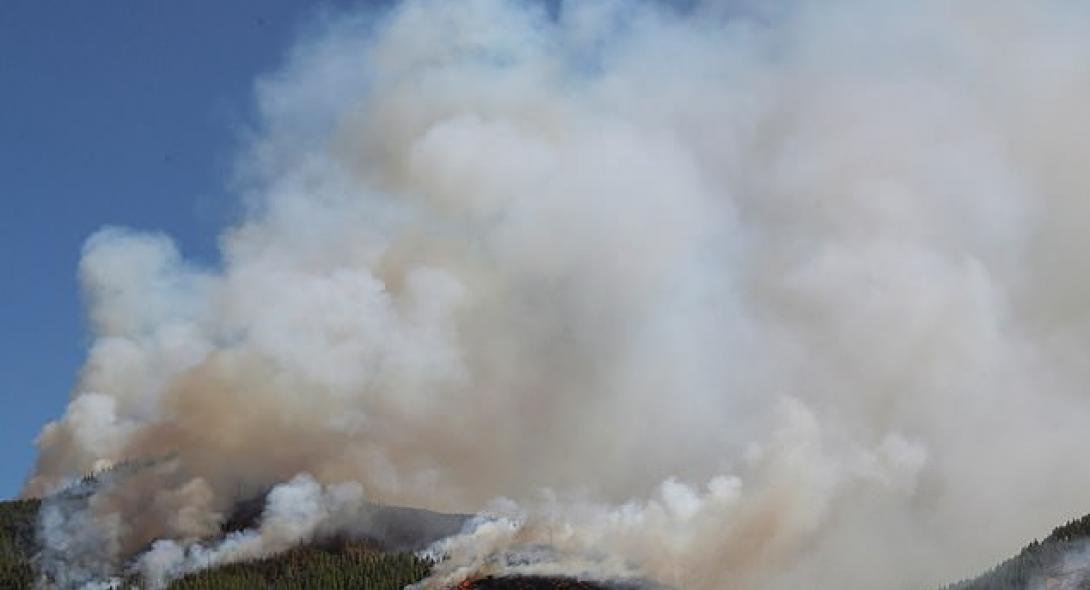 Γκραν Κανάρια: Πάνω από 4.000 άνθρωποι απομακρύνθηκαν από τη ζώνη της μεγάλης πυρκαγιάς