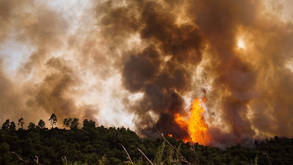 Μεγάλη πυρκαγιά στο Οροπέδιο Λασιθίου – Έκαψε 50 στρέμματα χορτολιβαδικής έκτασης (βιντεο)
