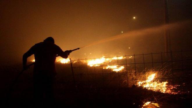 Ζάκυνθος : Σε περίπου 7.500 στρέμματα ανέρχεται η καμένη δασική έκταση φέτος
