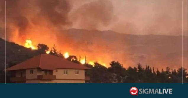 Λίβανος: Η χώρα θρηνεί τα δάση της που έγιναν στάχτη εξαιτίας των πυρκαγιών