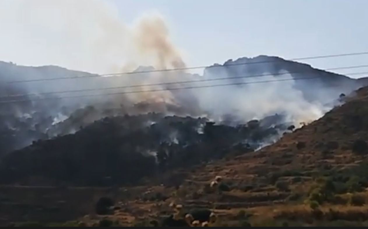 Χανιά: Στάχτη 30 στρέμματα από τη μεγάλη φωτιά στα Τεμένια