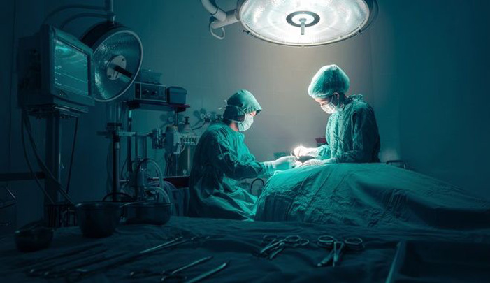 Σπουδαίο ιατρικό επίτευγμα στη Νέα Υόρκη: Μεταμόσχευσαν νεφρό από χοίρο σε άνθρωπο