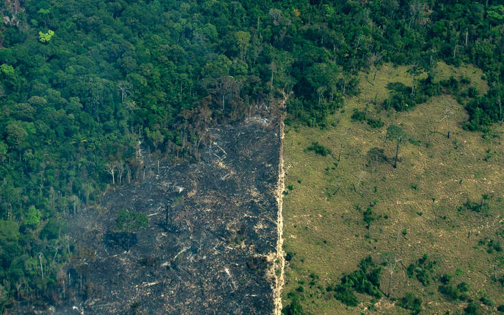 Αμαζόνιος: Σε δραματική κατάσταση ο πνεύμονας της γης
