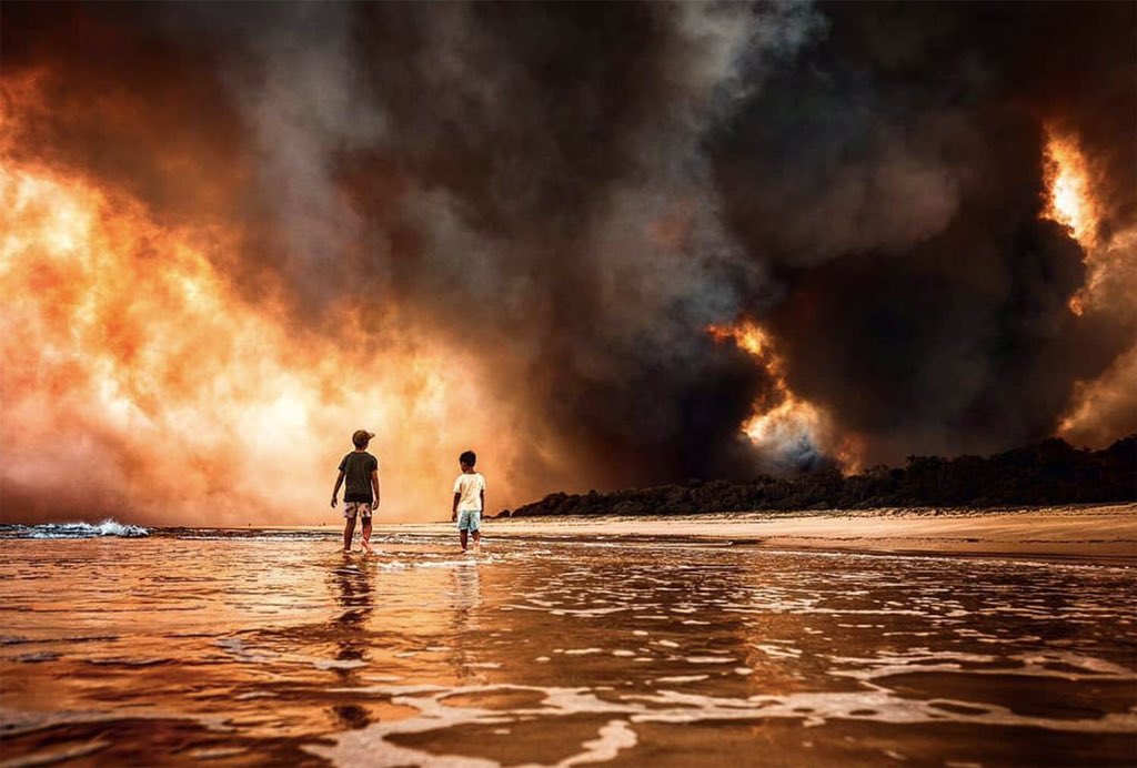 Αυστραλία: Ανυπολόγιστη οικολογική καταστροφή από τις πυρκαγιές – Σκοτώνουν τα ζώα τους!