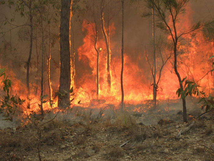 Μεγάλες νεροποντές στην Αυστραλία σβήνουν τις φωτιές