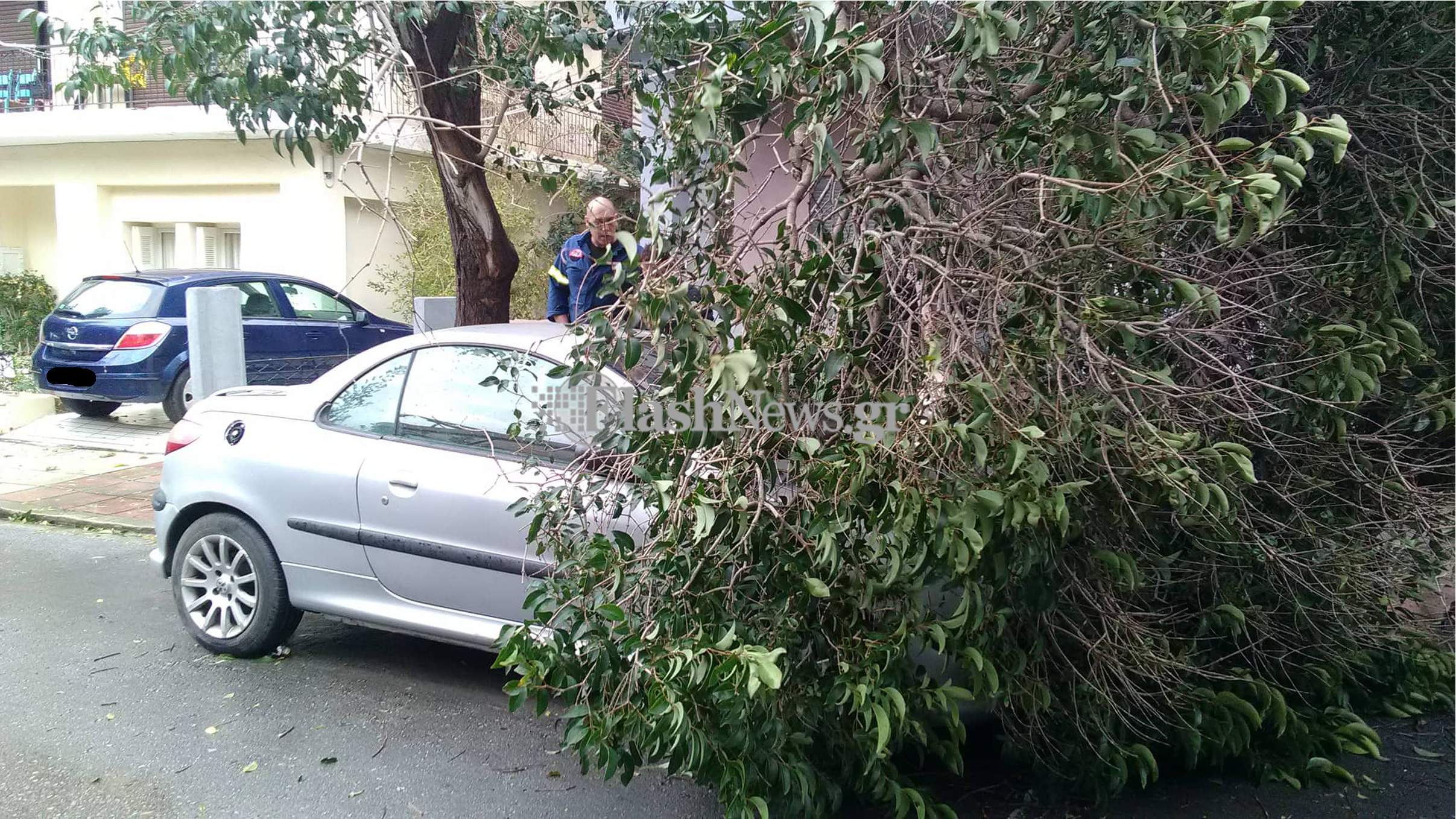 Μεγάλο κλαδί πλάκωσε αυτοκίνητο στο κέντρο των Χανίων