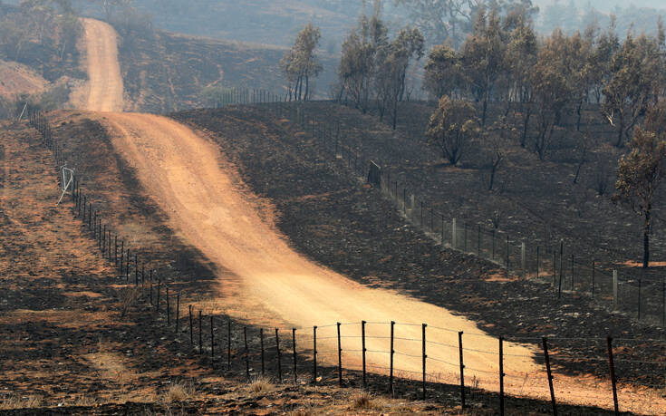Φωτιές στην Αυστραλία: Κάηκαν χιλιάδες σπίτια, σκοτώθηκαν ένα δισεκατομμύριο ζώα