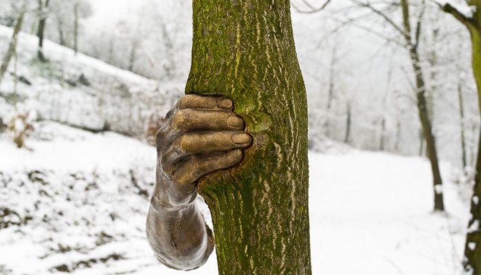 Μεταλλικό χέρι “πιέζει” κορμό δέντρου για 40 χρόνια!