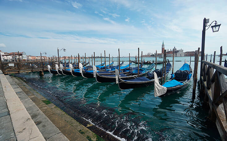 Ο κορονοϊός «έφερε» δελφίνια και κύκνους στα κανάλια της Βενετίας