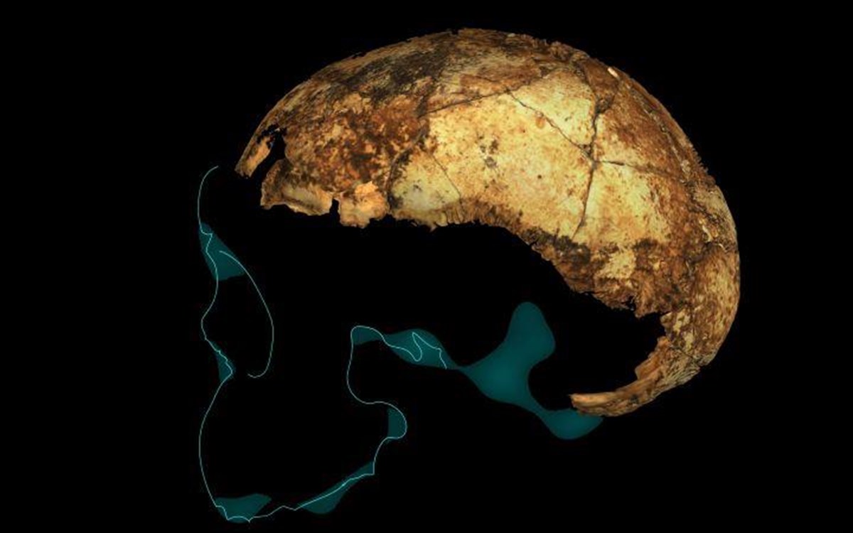 Ανακαλύφθηκε στη Νότια Αφρική το αρχαιότερο στον κόσμο κρανίο «Homo erectus»
