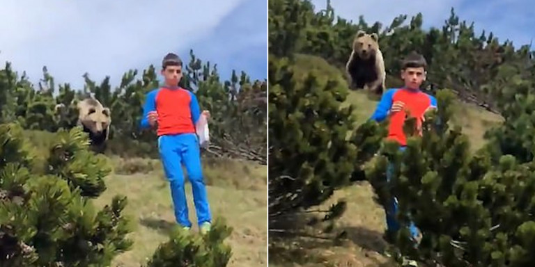 Ο πιο ψύχραιμος 12χρονος -Κατέβηκε λόφο ενώ τον ακολουθούσε αρκούδα (βιντεο)