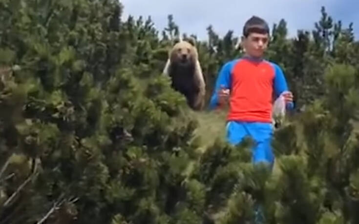 Η τρομακτική στιγμή της συνάντησης αγοριού με αρκούδα και η αντίδραση που τον έσωσε