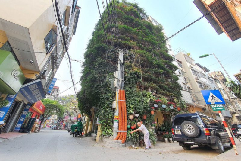Πενταώροφη πολυκατοικία στη μέση της πόλης καλύπτεται από αναρριχώμενα φυτά