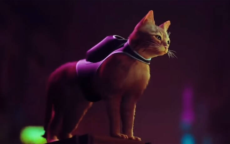«Stay»: Έρχεται το νέο βιντεοπαιχνίδι με ήρωα μια αδέσποτη γάτα