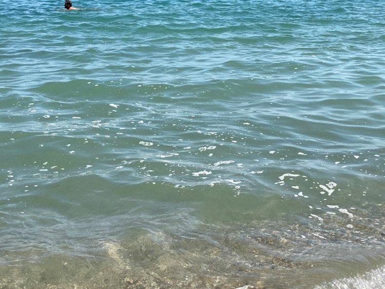Χανιά: Η φετινή ρύπανση στις παραλίες δεν έχει προηγούμενο (φωτο)