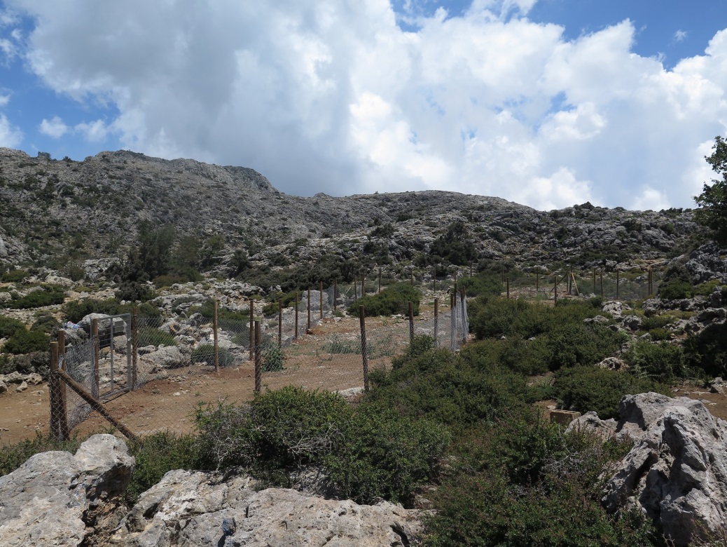 Το 8ο Μικρο-Απόθεμα στο Δίκτυο Μικρο-Αποθεμάτων απειλούμενων φυτών Κρήτης είναι γεγονός