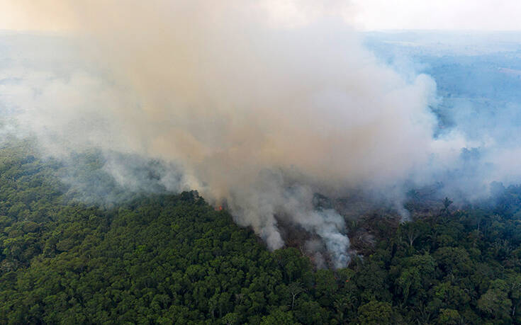 Καταστροφή ρεκόρ του τροπικού δάσους της Αμαζονίας το πρώτο εξάμηνο του 2020