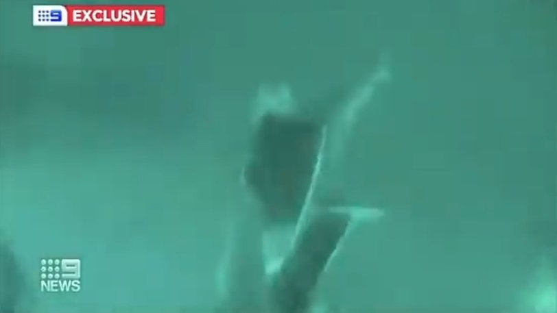Ψαροντουφεκάς γλίτωσε από τα σαγόνια καρχαρία κλωτσώντας τον στο κεφάλι (βίντεο)