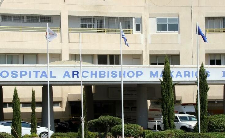 Κύπρος: Στο νοσοκομείο αγοράκι δύο ετών έπειτα από δάγκωμα φιδιού