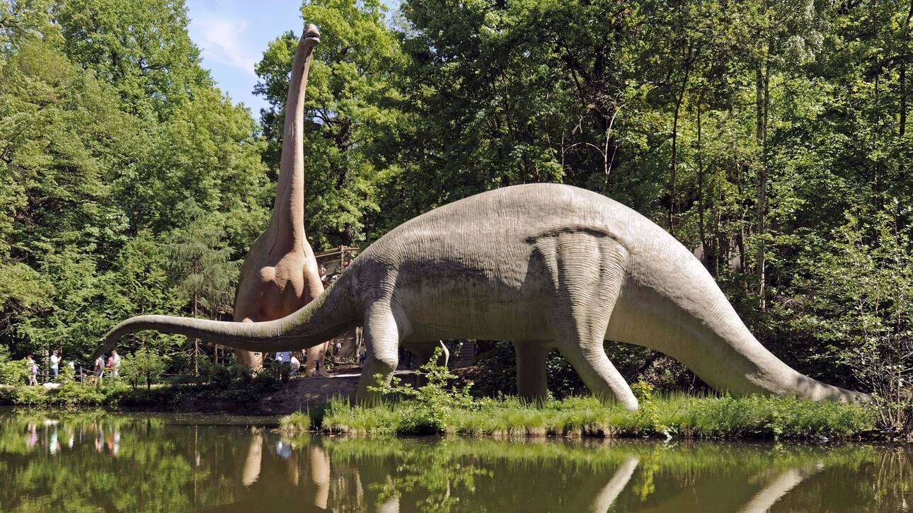 Ιταλία: Ανακαλύφθηκε το μεγαλύτερο νεκροταφείο δεινοσαύρων -Ηλικίας 80 εκατ. ετών
